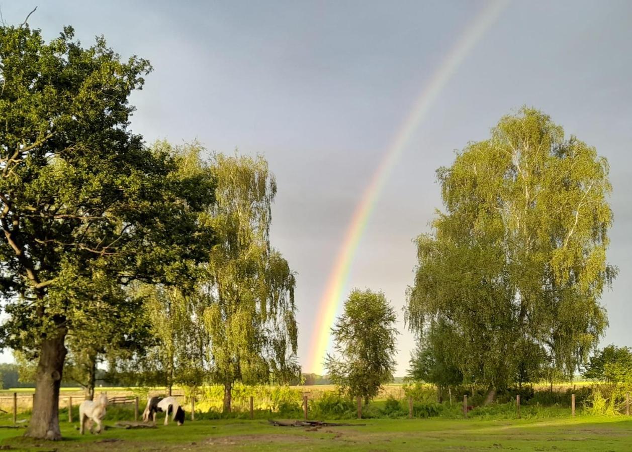 Ferienwohnung Auf Bauernhof In Alleinlage Naturerlebnis Kattenstiegs-Muhle ภายนอก รูปภาพ